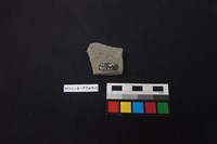 陶片藏品圖，第2張