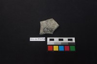 陶片藏品圖，第2張