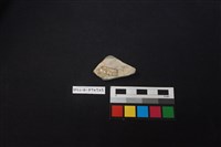 陶片藏品圖，第2張