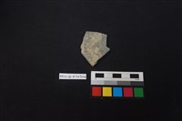 陶片藏品圖，第1張