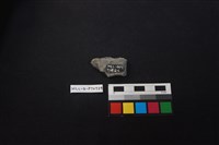 陶片藏品圖，第2張