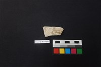 陶片藏品圖，第2張