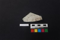 陶片藏品圖，第2張