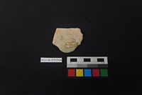 陶片藏品圖，第2張