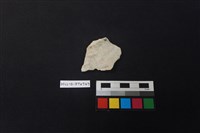 陶片藏品圖，第1張