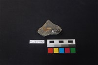 陶片藏品圖，第2張