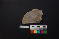 陶片藏品圖，第2張