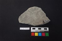 陶片藏品圖，第2張