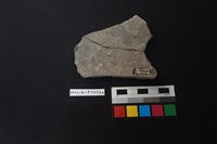 陶片藏品圖，第2張