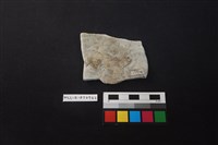 陶片藏品圖，第2張