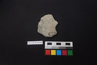 陶片藏品圖，第2張