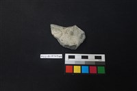 陶片藏品圖，第1張