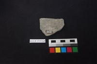 陶片藏品圖，第2張