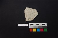 陶片藏品圖，第2張