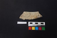 陶片藏品圖，第2張