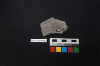 陶片藏品圖，第2張