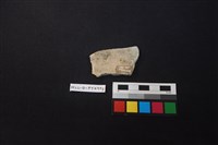 陶片藏品圖，第2張