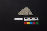 陶片藏品圖，第2張