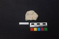 陶片藏品圖，第2張