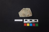 陶片藏品圖，第2張