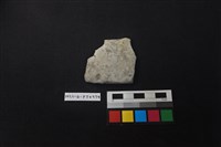 陶片藏品圖，第1張