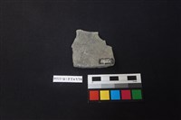 陶片藏品圖，第2張