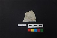 陶片藏品圖，第2張