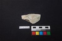 陶片藏品圖，第1張