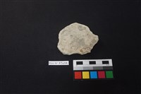 陶片藏品圖，第2張