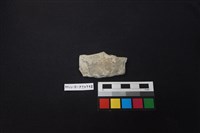 陶片藏品圖，第1張