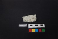 陶片藏品圖，第2張