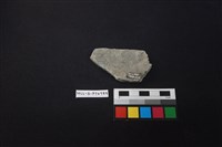 陶片藏品圖，第2張