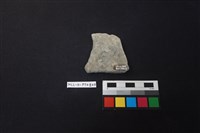 陶片藏品圖，第2張