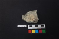 陶片藏品圖，第2張