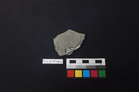 陶片藏品圖，第2張