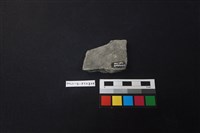 陶片藏品圖，第2張