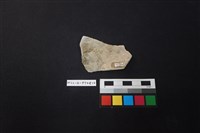 陶片藏品圖，第2張