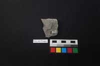 陶片藏品圖，第2張