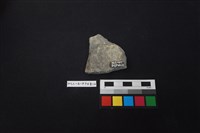 陶片藏品圖，第2張