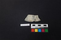 陶片藏品圖，第2張