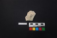 陶片藏品圖，第1張