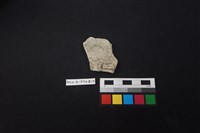 陶片藏品圖，第2張