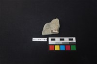 陶片藏品圖，第2張