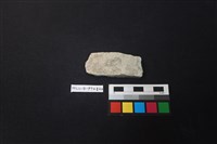 陶片藏品圖，第1張