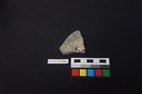 陶片藏品圖，第2張