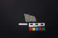 陶片藏品圖，第2張