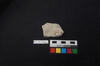 陶片藏品圖，第2張