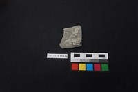 陶片藏品圖，第2張