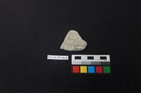 陶片藏品圖，第2張