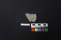 陶片藏品圖，第2張